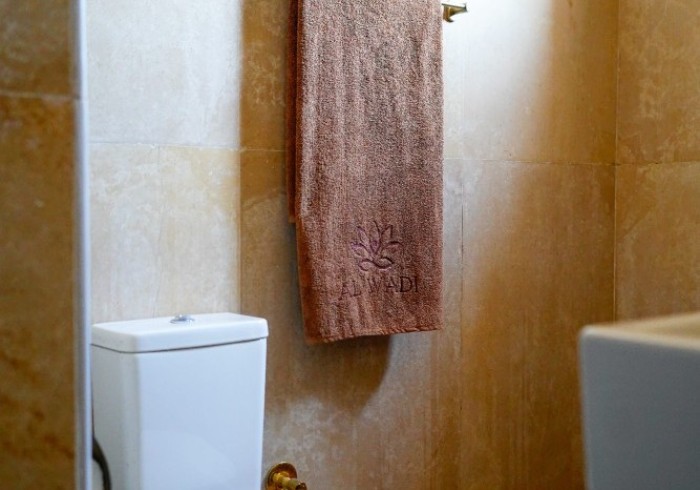 bathroom_toilet__towels_room_5_-_al_wadi_gallery~~67e20a692a35e